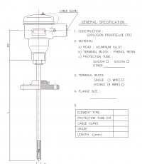 BR-95W